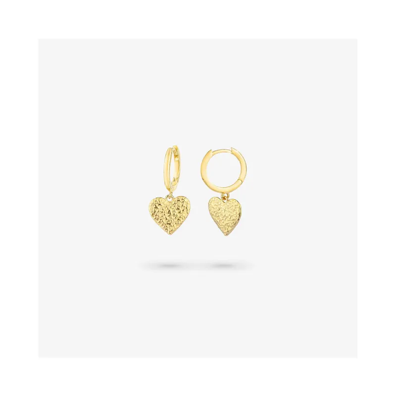 Ladies' Earrings Radiant RY000107